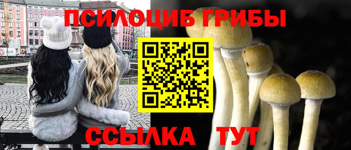 Галлюциногенные грибы Magic Shrooms Пыть-Ях